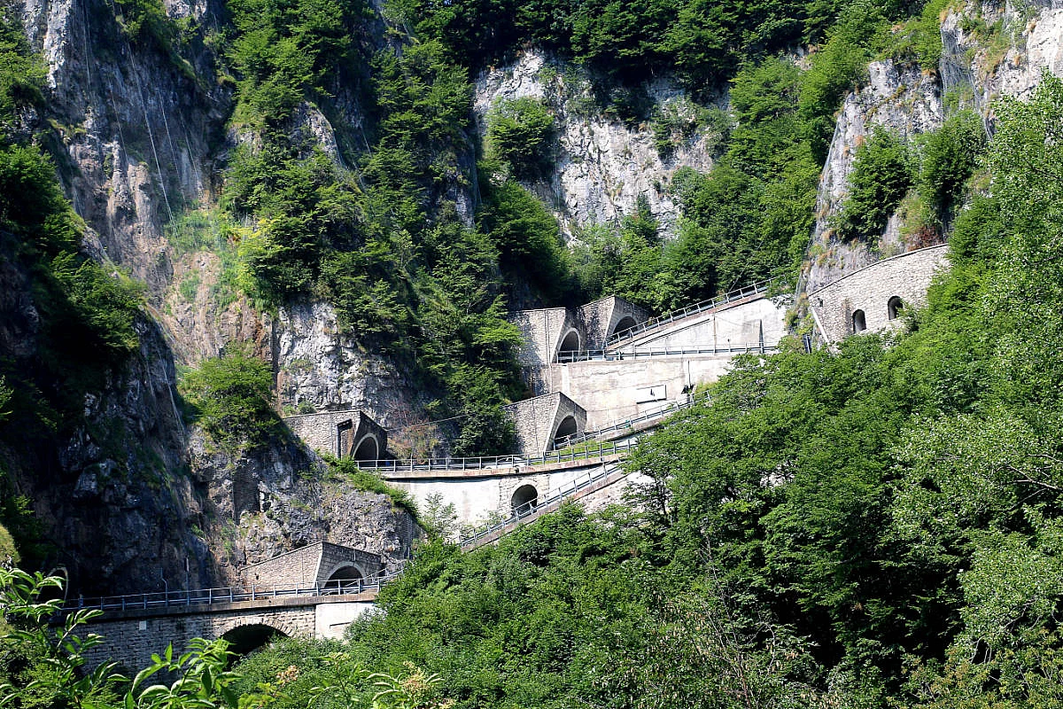 SH 1225579444
