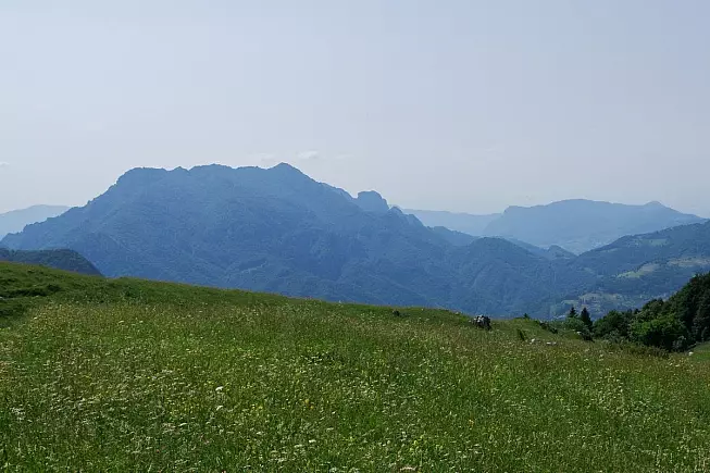 SH: 1437847211