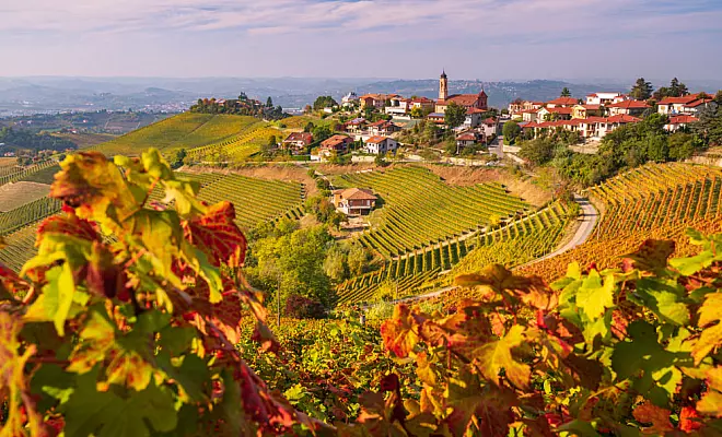 Strada Romantica delle Langhe, saperi e sapori di Piemonte TrueRiders