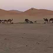 Nella terra dei Berberi. Tour in Marocco, ottobre-novembre 2022-5