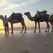 Nella terra dei Berberi. Tour in Marocco, ottobre-novembre 2022-10