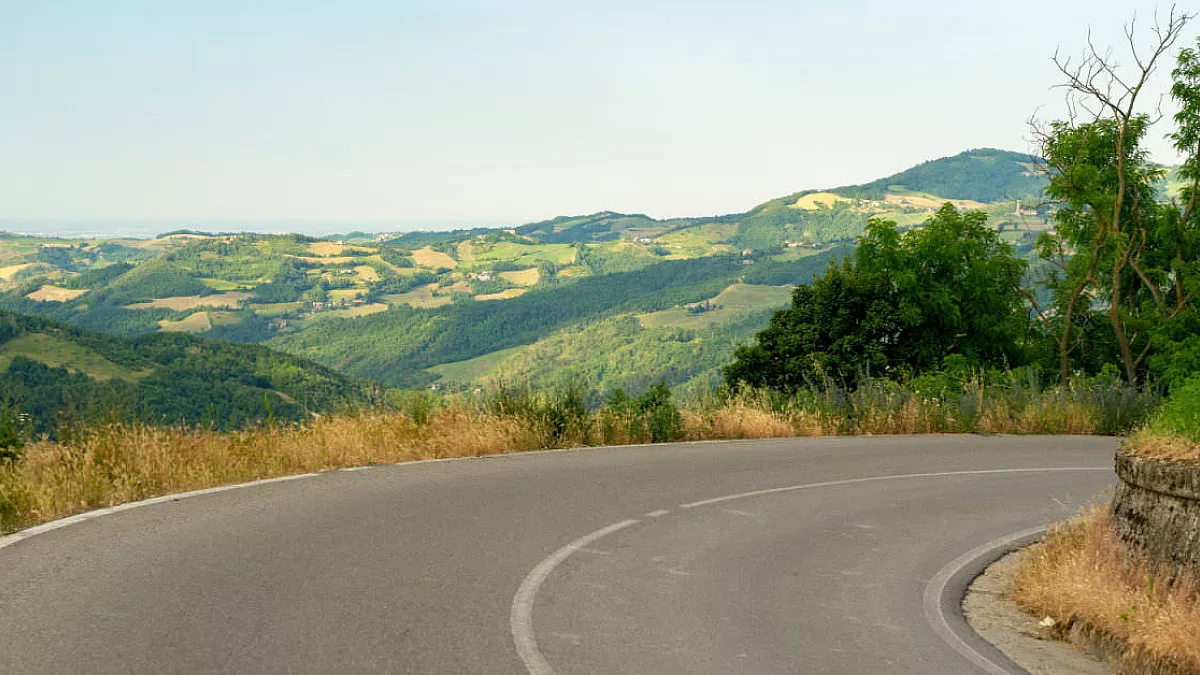 Shutterstock_1471530560