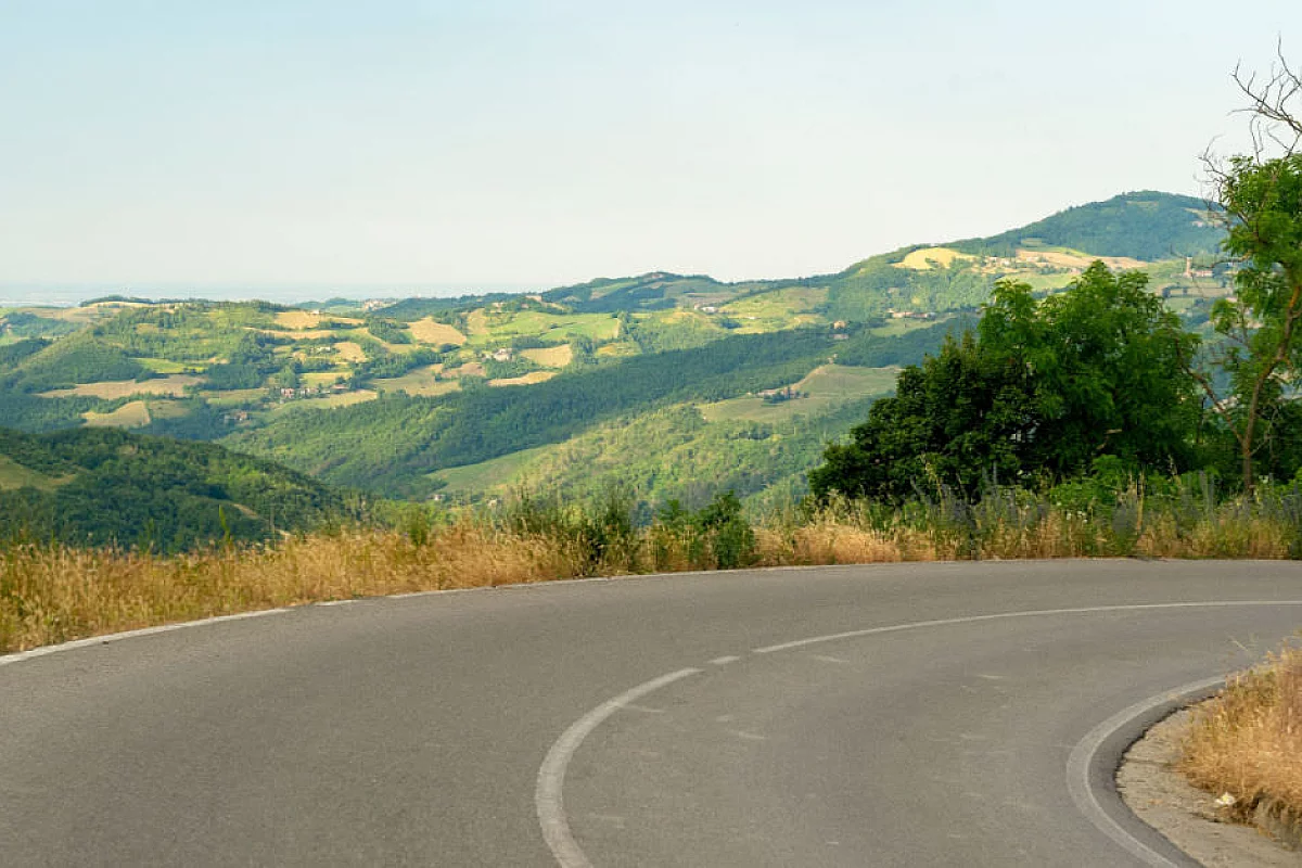 Shutterstock_1471530560