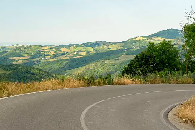 Shutterstock_1471530560