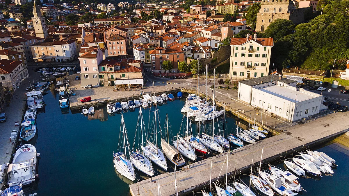 muggia