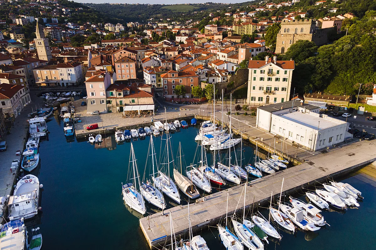 muggia