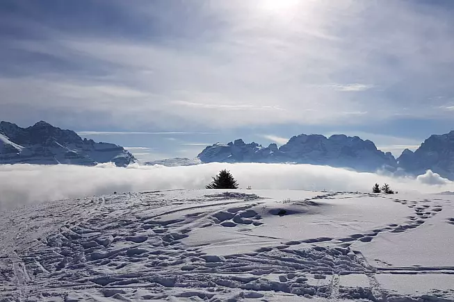 1165446028
