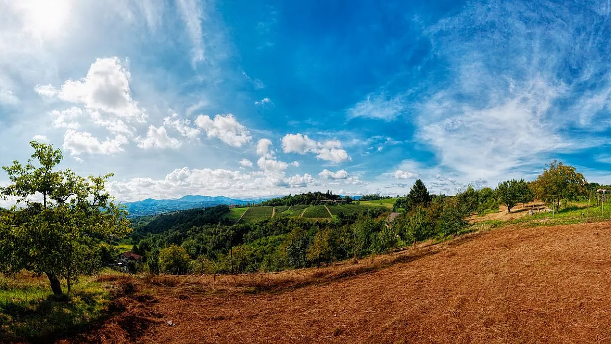 Ovada, Panorama