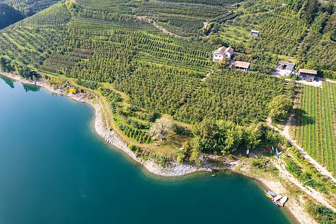 Le sponde del Lago di Santa Giustina, circondate dai frutteti. 
