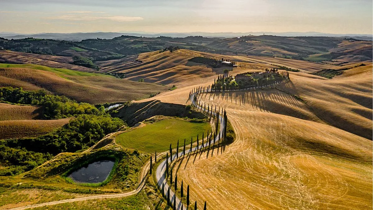 Crete Senesi, Asciano