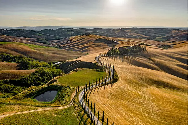 Crete Senesi, Asciano
