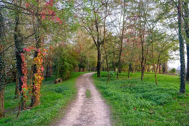 Foliage autunnale, Valle del Lambro, Lombardia