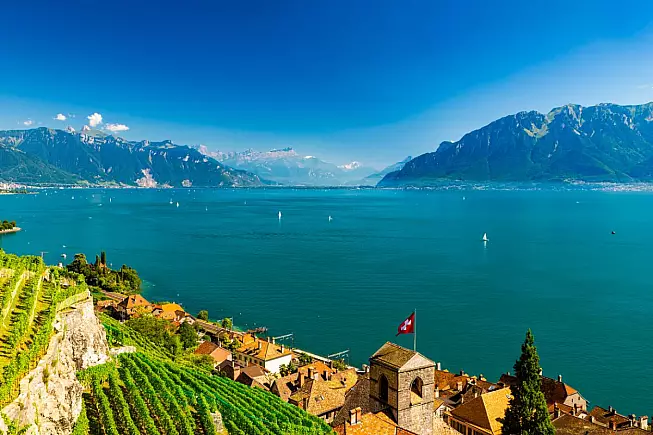 Lago di Ginevra, vigneti e panorama, Svizzera