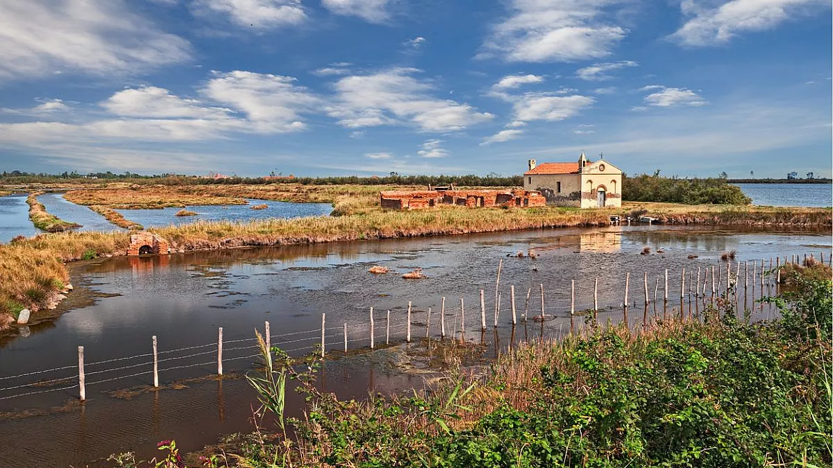 Parco del Delta del Po, Porto Tolle, Rovigo, Veneto, Italia