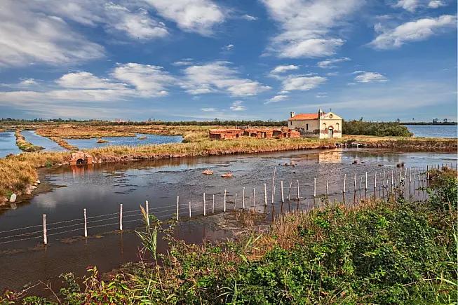 Parco del Delta del Po, Porto Tolle, Rovigo, Veneto, Italia