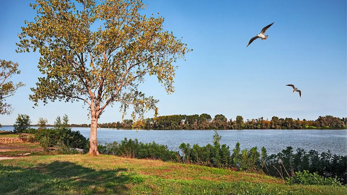 Porto Tolle, nella zona del Polesine di Rovigo