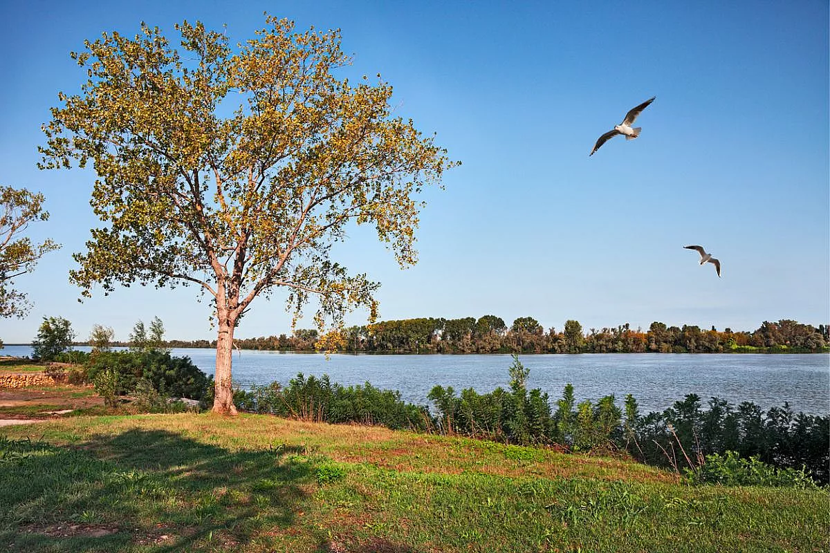 Porto Tolle, nella zona del Polesine di Rovigo