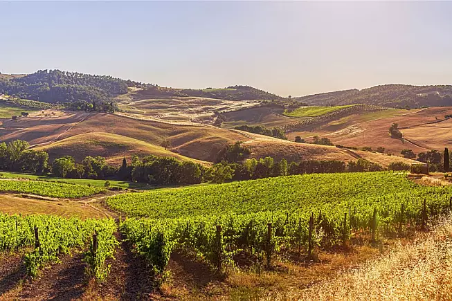 Vigneti di Montefalco, Umbria