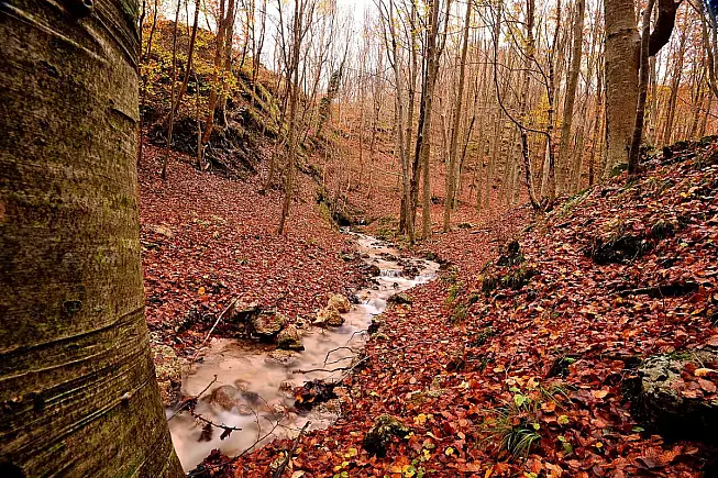 Corsi d'acqua del Monte Polveracchio. Muccio66, Wikimedia