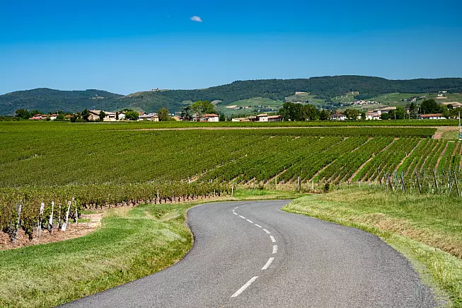 L'entrata della Strada dei Vini di Beaujolais, Oingt