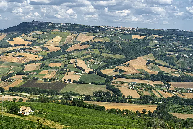 Vista panoramica sulle colline marchigiane intorno a Montefiore dell'Aso. 