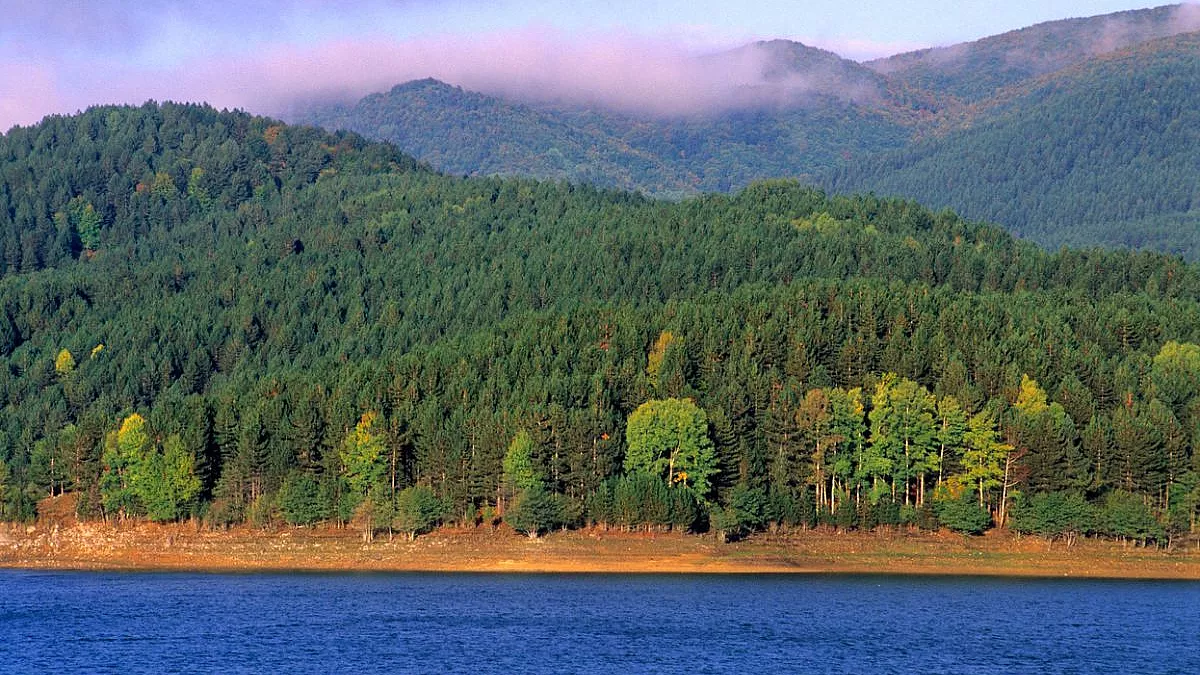 Parco Nazionale della Sila, Lago Ampollino
