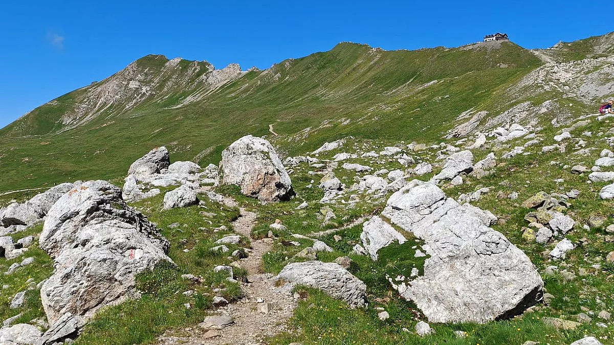 Passo San Pellegrino, vista della Cresta di Costabella. Gruppo della Marmolada, Trentino. iStock/Krivi AZ