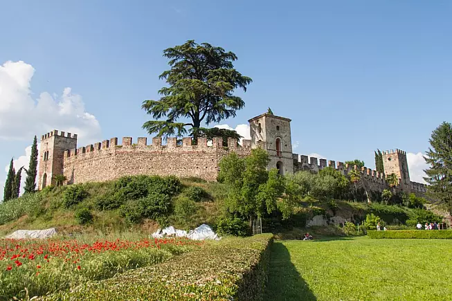 Castellaro Lagusello, cinta muraria. 1219480563