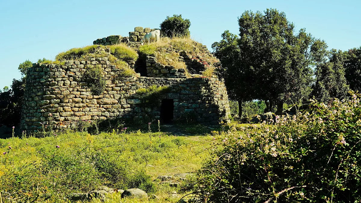 Correboi, area archeologica di Loelle. Nuoro, Sardegna. Shutterstock_2359487143