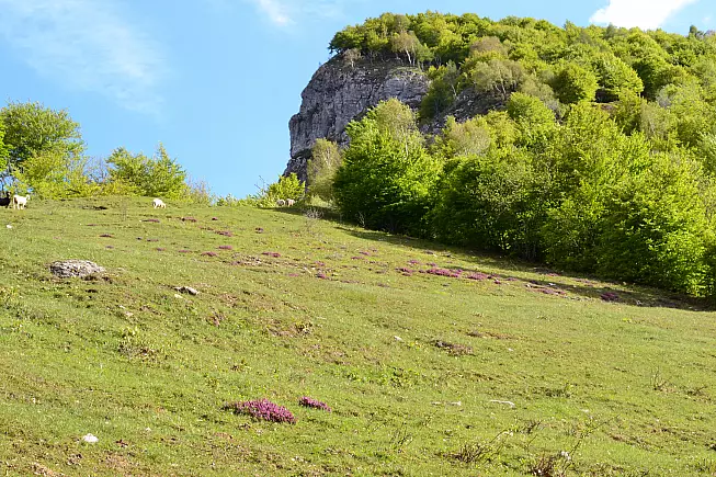 Paesaggio di montagna sopra Esino Lario.