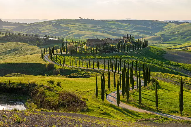 Fattoria e strada di campagna con i cipressi vicino Asciano, nelle Terre Senesi, e le colline della Val d'Orcia. Altug Galip/Shutterstock.com