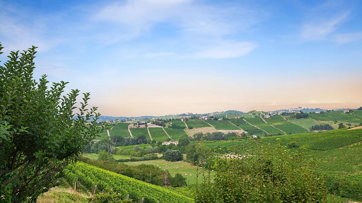 Monferrato, vicino Calosso, Canelli e Moasca