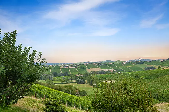 Monferrato, vicino Calosso, Canelli e Moasca