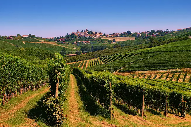 Neive, Piemonte. Shutterstock_694513057