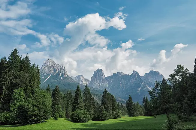 Parco Naturale Di Paneveggio Pale di San Martino. iStock 1307409242