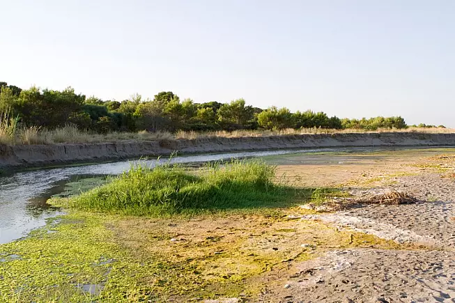 Fiume Sinni. Foce del fiume. Basilicata. iStock-184313528