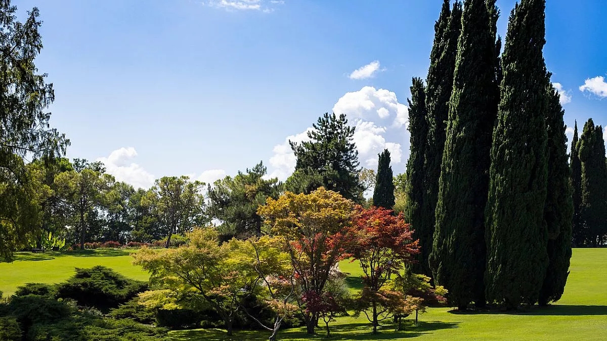 Parco Giardino Sigurtà, Valeggio sul Mincio. 1340246485