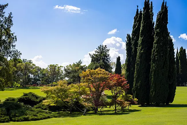 Parco Giardino Sigurtà, Valeggio sul Mincio. 1340246485
