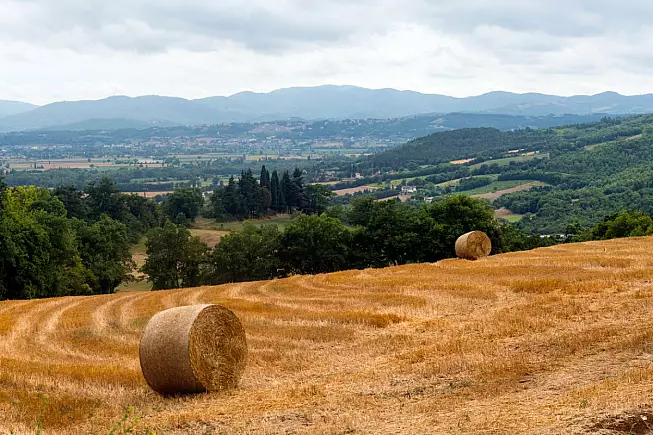Passo di Viamaggio, Toscana Emilia-Romagna. iStock-532868311