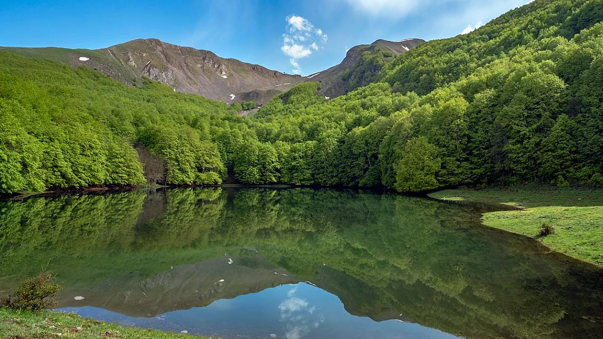 Riserva regionale Lago Laudemio, Basilicata. iStock-1992455731