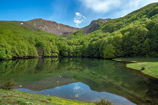 Riserva regionale Lago Laudemio, Basilicata. iStock-1992455731