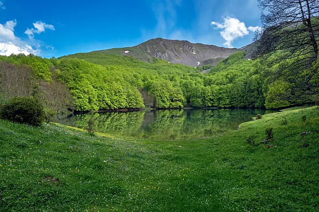 Riserva regionale Lago Laudemio. iStock-1992456271