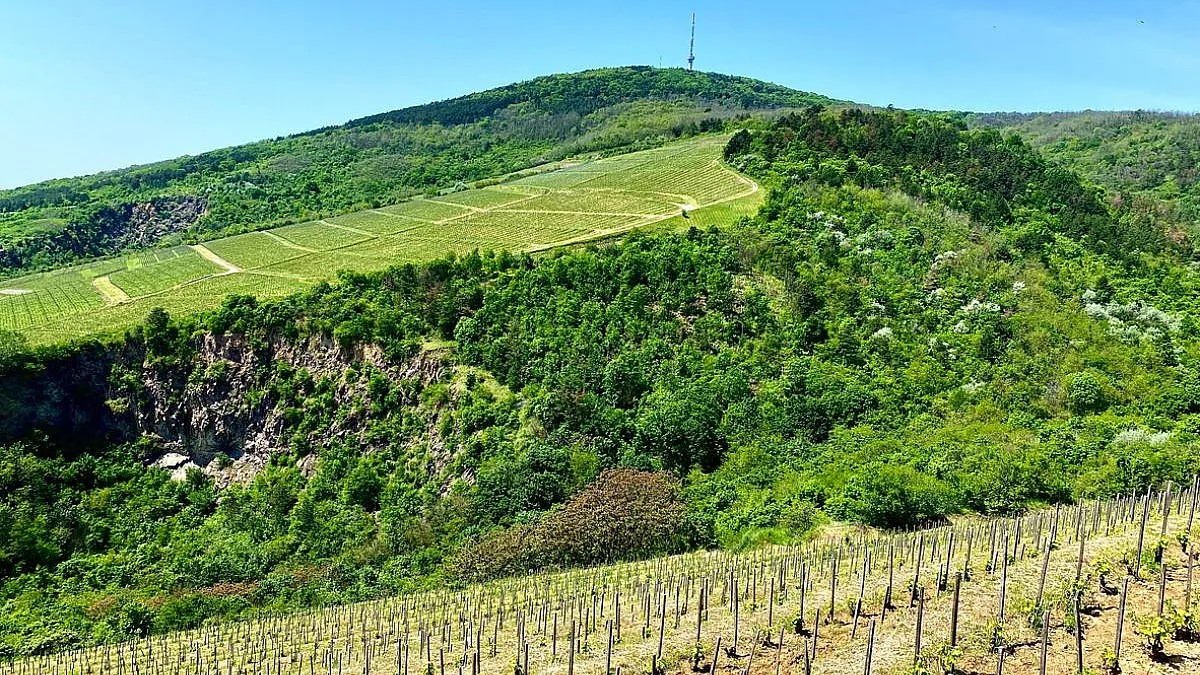 Tokaj, vista delle colline e dei vigneti. iStock-2154080078