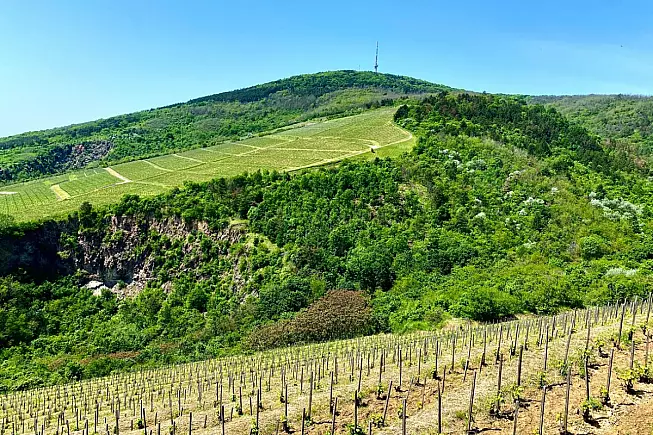Tokaj, vista delle colline e dei vigneti. iStock-2154080078