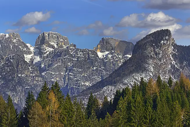 391651042