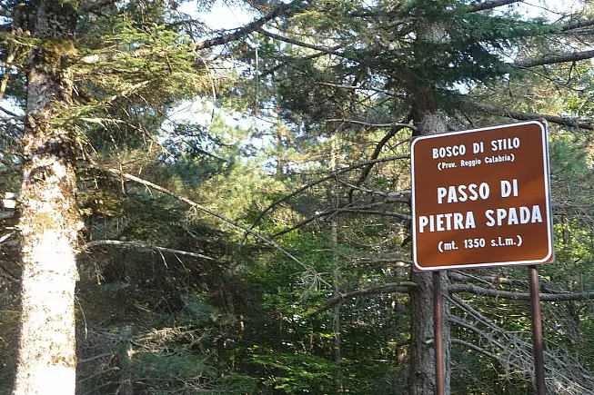 Passo di Pietra Spada nelle Serre Calabresi. Foto Di Marcuscalabresus - Opera propria, CC BY-SA 3.0, https://commons.wikimedia.org/w/index.php?curid=8940992