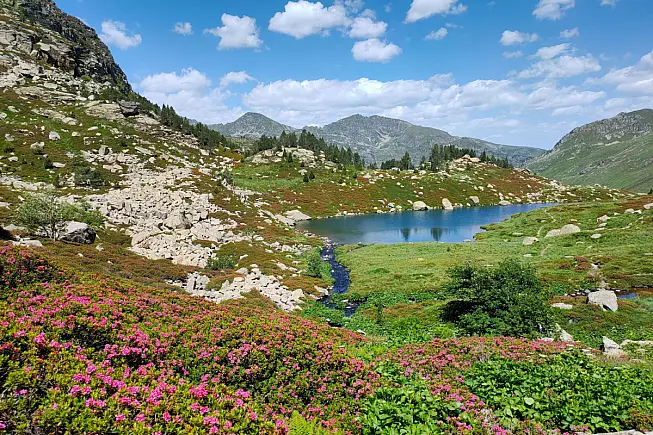 Pirenei. Shutterstock_2493337297