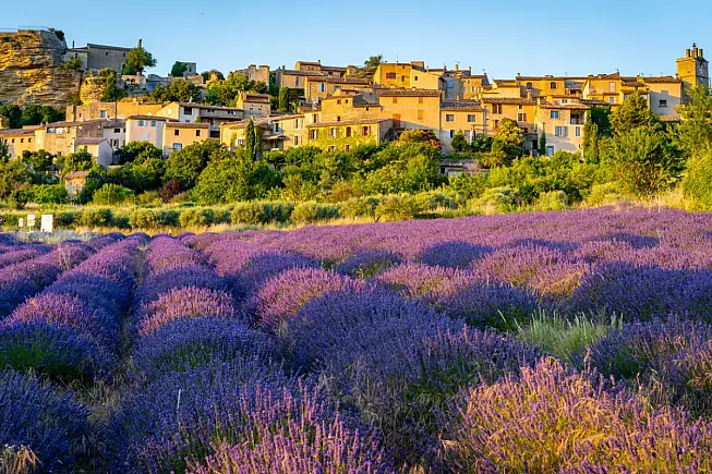 Saignon, Provenza, Francia. Strada della Lavanda. iStock-1048184280