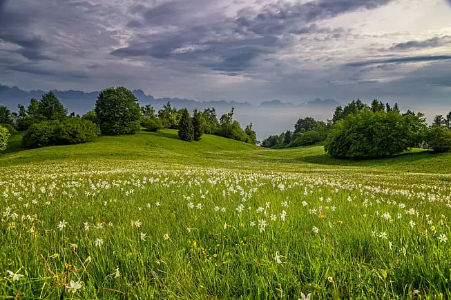 Valbelluna, colline. 1744636301