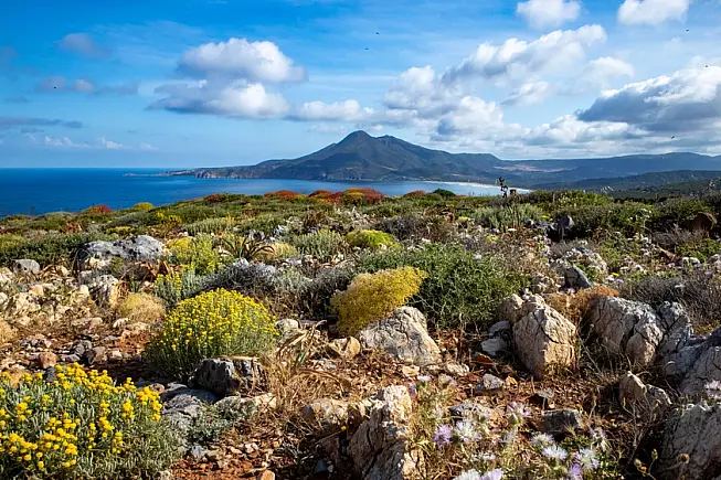 Paesaggio sul mare, a Buggerru.